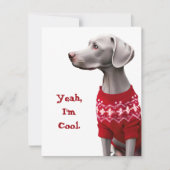 Cartes Pour Fêtes Annuelles Funny Weimaraner dans le pull de Noël (Devant)
