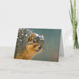 Cartes Pour Fêtes Annuelles Funny Wildlife Christmas Card