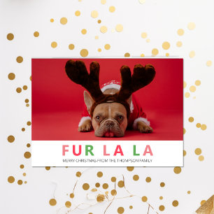 Cartes Pour Fêtes Annuelles Fur La Christmas Funny Animaux Amoureux de les chi