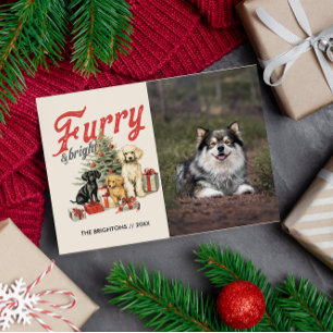 CARTES POUR FÊTES ANNUELLES FURRY ET BRIGHT JOYEUX NOËL POITRINE POITRINE FURB