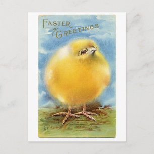 Cartes Pour Fêtes Annuelles Fuzzy Chick