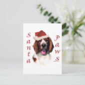 Cartes Pour Fêtes Annuelles Gallois Springer Spaniel Père Noël Paws (Debout devant)