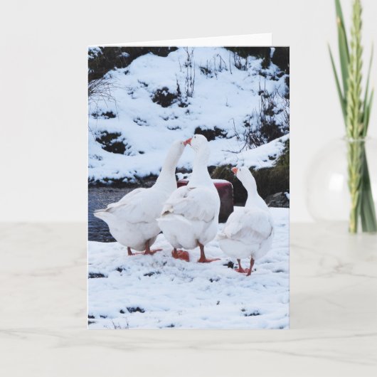 Cartes Pour Fêtes Annuelles Geese en hiver (Devant)