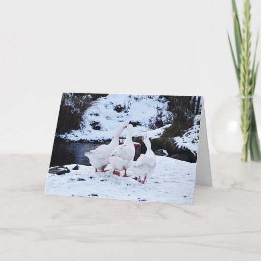 Cartes Pour Fêtes Annuelles Geese en hiver (Devant)