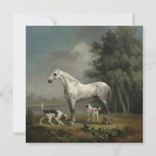Cartes Pour Fêtes Annuelles George Stubbs - Un chasseur gris pomme (Devant)