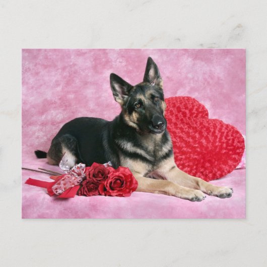 Cartes Pour Fêtes Annuelles German Shepherd Valentine (Devant)