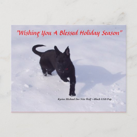 Cartes Pour Fêtes Annuelles German Shepherd xmas postcard (Devant)