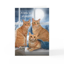 Ginger Orange Tabby Chat Joyeux Noël