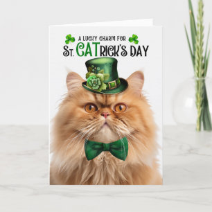 Cartes Pour Fêtes Annuelles Ginger Perse Chat Lucky Charm St CATrick's Day