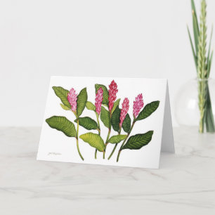 Cartes Pour Fêtes Annuelles Ginger rouge
