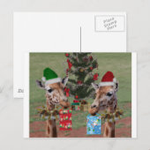 Cartes Pour Fêtes Annuelles Girafes de Noël (Devant / Derrière)