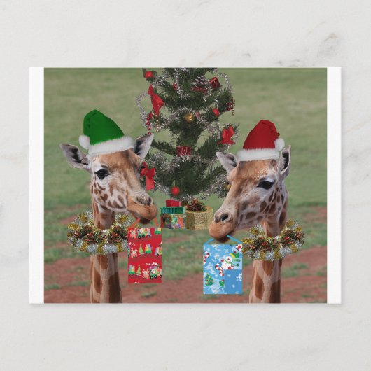 Cartes Pour Fêtes Annuelles Girafes de Noël (Devant)