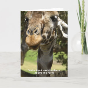 Cartes Pour Fêtes Annuelles Giraffe