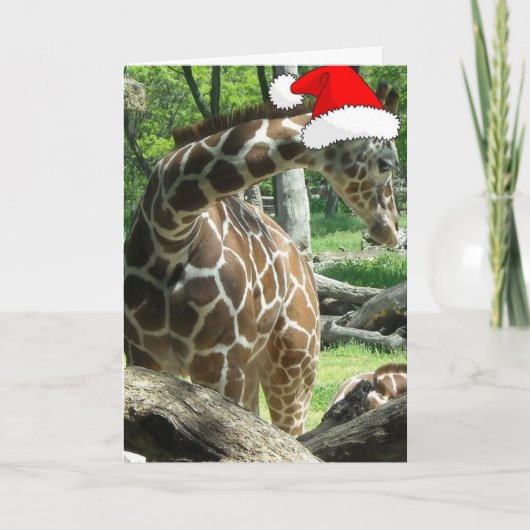 Cartes Pour Fêtes Annuelles Giraffe de Noël (Devant)