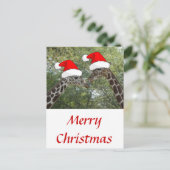 Cartes Pour Fêtes Annuelles Giraffes de Noël (Debout devant)