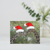 Cartes Pour Fêtes Annuelles Giraffes de Noël (Debout devant)