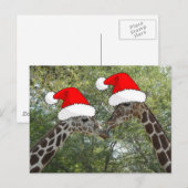 Cartes Pour Fêtes Annuelles Giraffes de Noël (Devant / Derrière)