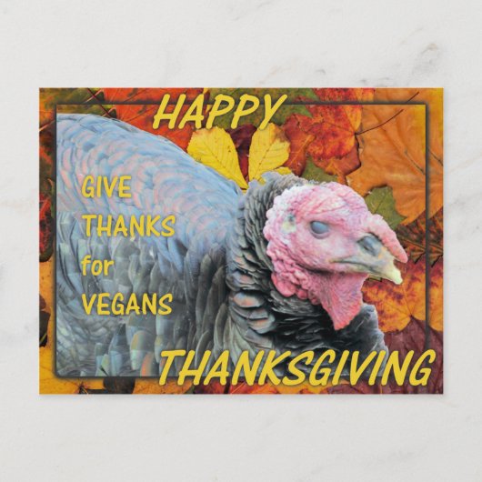 Cartes Pour Fêtes Annuelles Give Thanks for Vegans (Devant)