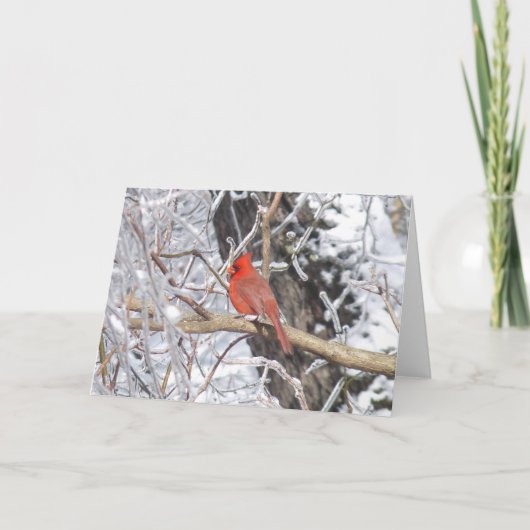 Cartes Pour Fêtes Annuelles 'Glace cardinale de n (Devant)