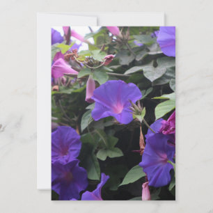 Cartes Pour Fêtes Annuelles Glorieuses du matin de printemps en bleu