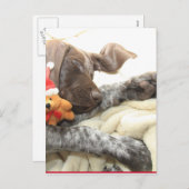 Cartes Pour Fêtes Annuelles Glossy Grizzly Christmas Pointer (Devant / Derrière)