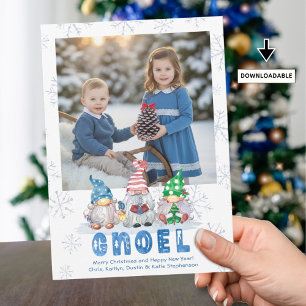 Cartes Pour Fêtes Annuelles Gnomes de Noël GNOEL Salutation une photo