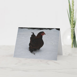 Cartes Pour Fêtes Annuelles Gold laced Wyandotte trekking through Snow !