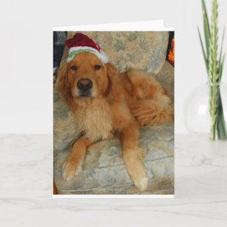 Cartes Pour Fêtes Annuelles Golden retriever à Noël