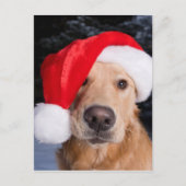 Cartes Pour Fêtes Annuelles Golden Retriever à Santa Hat (Devant)