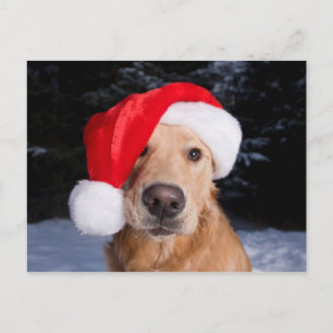 Cartes Pour Fêtes Annuelles Golden Retriever à Santa Hat