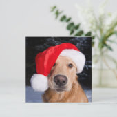 Cartes Pour Fêtes Annuelles Golden Retriever à Santa Hat (Debout devant)
