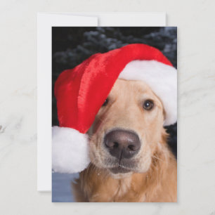 Cartes Pour Fêtes Annuelles Golden Retriever à Santa Hat