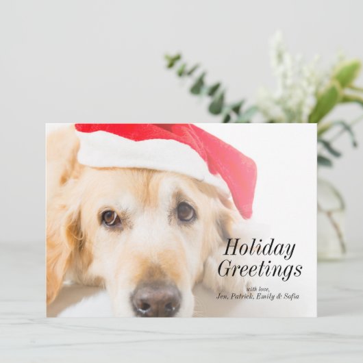 Cartes Pour Fêtes Annuelles Golden retriever avec le casquette de Noël (Debout devant)