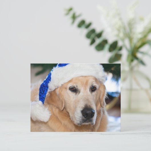Cartes Pour Fêtes Annuelles Golden retriever avec le casquette de père Noël (Debout devant)