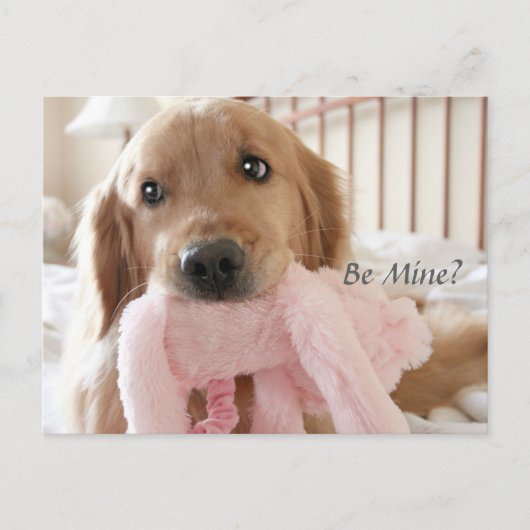 Cartes Pour Fêtes Annuelles Golden Retriever Be Mine Saint Valentin (Devant)