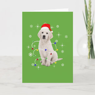 Cartes Pour Fêtes Annuelles Golden Retriever Chien de vacances Noël