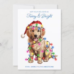 Cartes Pour Fêtes Annuelles Golden Retriever Chien Personnalisé Furie et brill