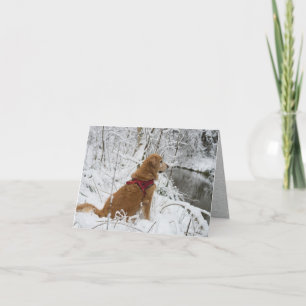 Cartes Pour Fêtes Annuelles Golden Retriever dans la neige par Creek