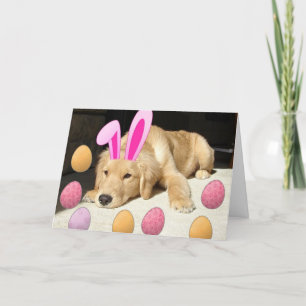 Cartes Pour Fêtes Annuelles Golden Retriever de Pâques