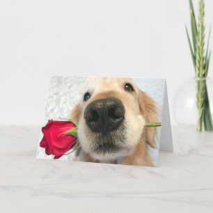 Cartes Pour Fêtes Annuelles Golden Retriever Dog with Red Rose Valentine's Day