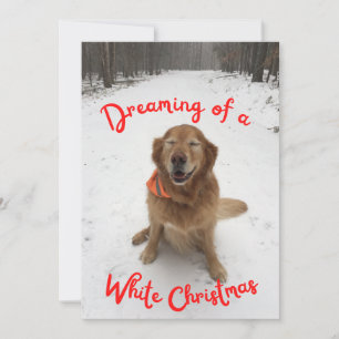 Cartes Pour Fêtes Annuelles Golden Retriever rêve de Noël blanc