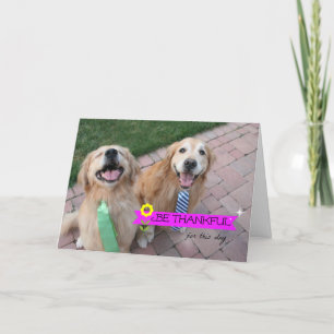Cartes Pour Fêtes Annuelles Golden Retriever Soit Jour de Thanksgiving