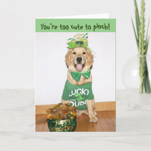 Cartes Pour Fêtes Annuelles Golden Retriever Trop mignonne pour Pinch St. Patt