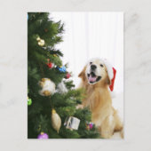 Cartes Pour Fêtes Annuelles Golden retriever which watches Christmas tree (Devant)