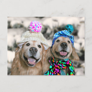 Cartes Pour Fêtes Annuelles Golden Retrivers in Winter Casquette Fête de Noël
