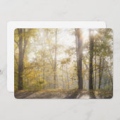 Cartes Pour Fêtes Annuelles Golden sunlight through autumn trees (Devant / Derrière)