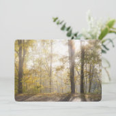 Cartes Pour Fêtes Annuelles Golden sunlight through autumn trees (Debout devant)