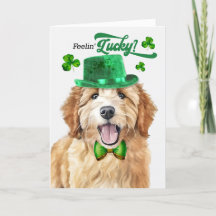 Goldendoodle Dog Feelin' Lucky St Patrick's Day