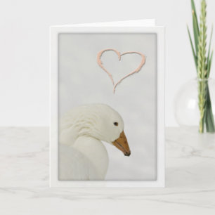 Cartes Pour Fêtes Annuelles goose heart valentiting card