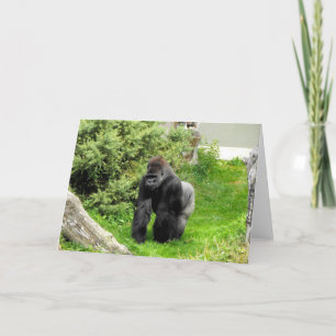 Cartes Pour Fêtes Annuelles gorille mâle de l'Ouest de Lowland
